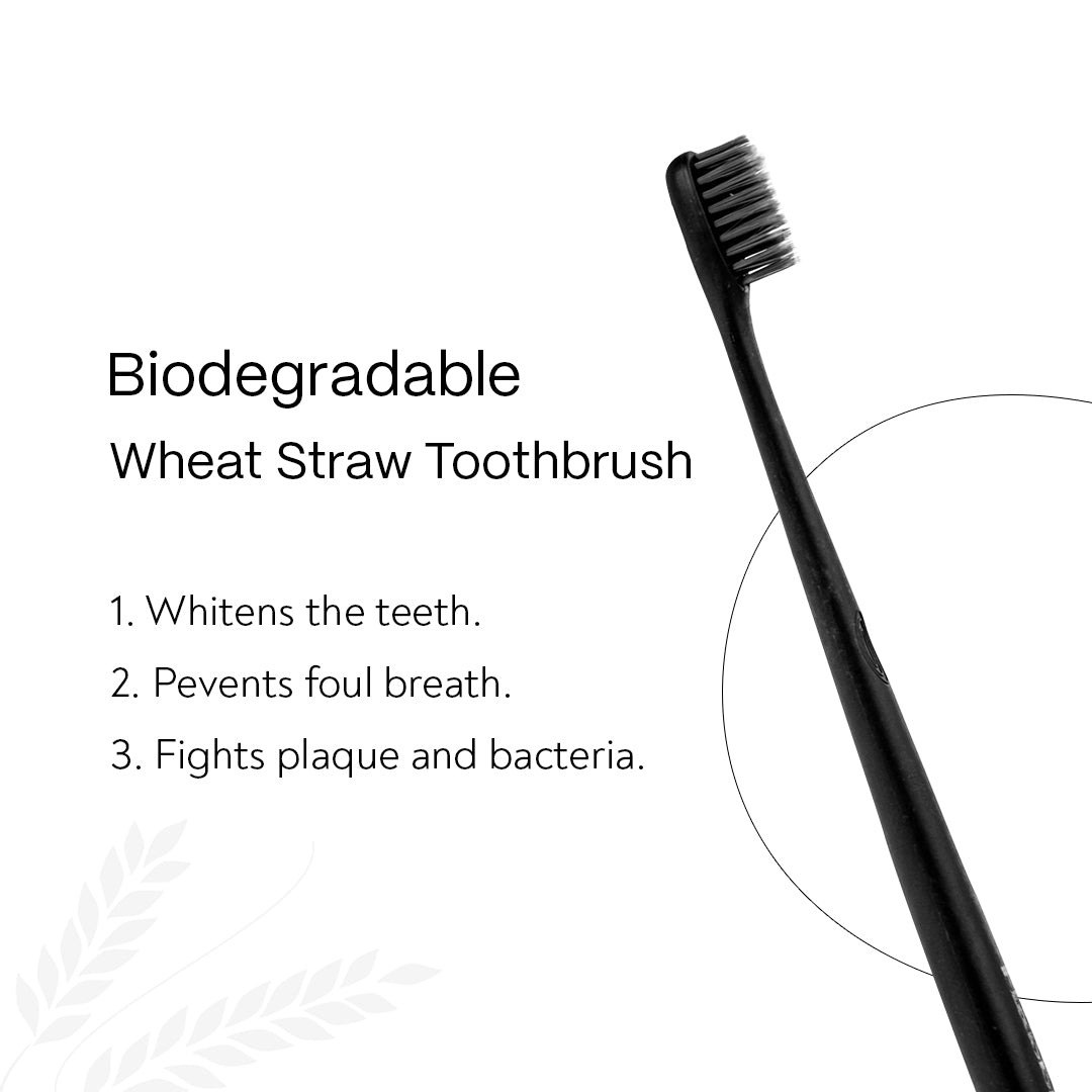 Wheat-straw Toothbrush